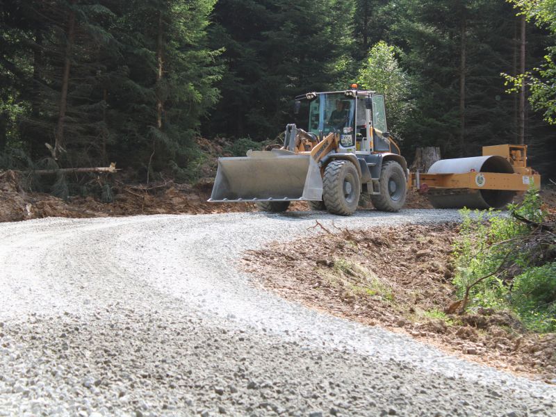 Wald und Wirtschaftswegebau  1 