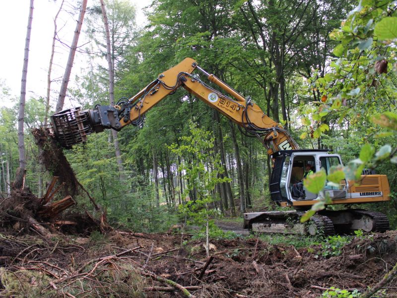 Wald und Wirtschaftswegebau  5 